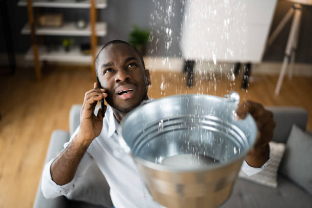 Best Carpet water damage restoration  in Providence, RI