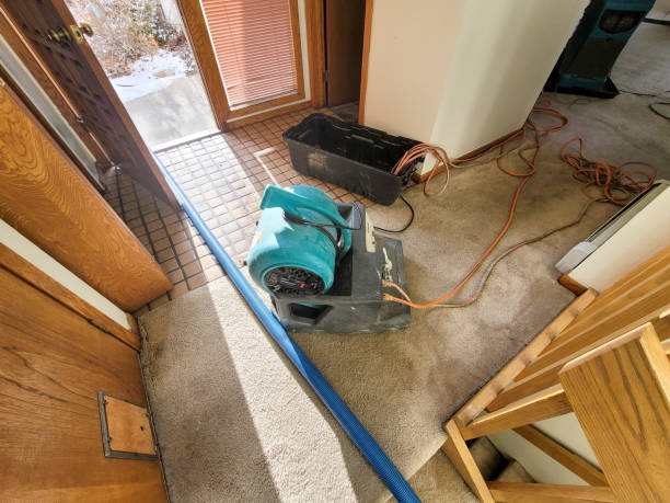 Best Flooded house restoration  in Providence, RI