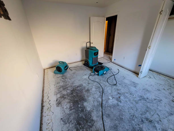 Best Professional water damage repair  in Providence, RI