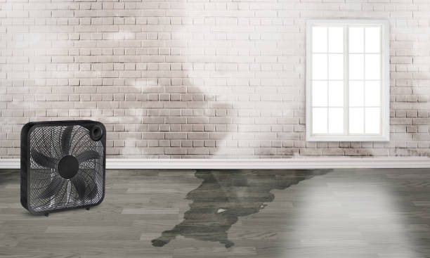 Best 24/7 water damage repair  in Providence, RI