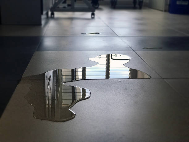 Best Water damage restoration near me  in Providence, RI