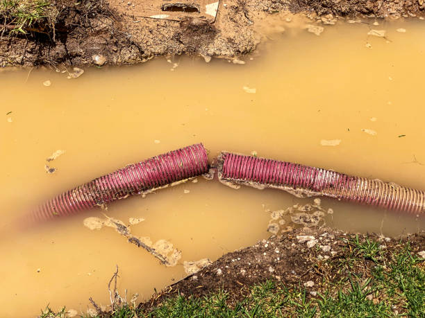 Best Local water damage restoration  in Providence, RI